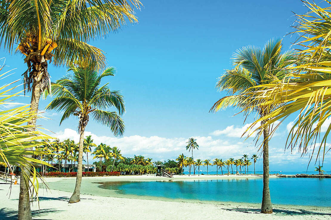 Florida Beach
